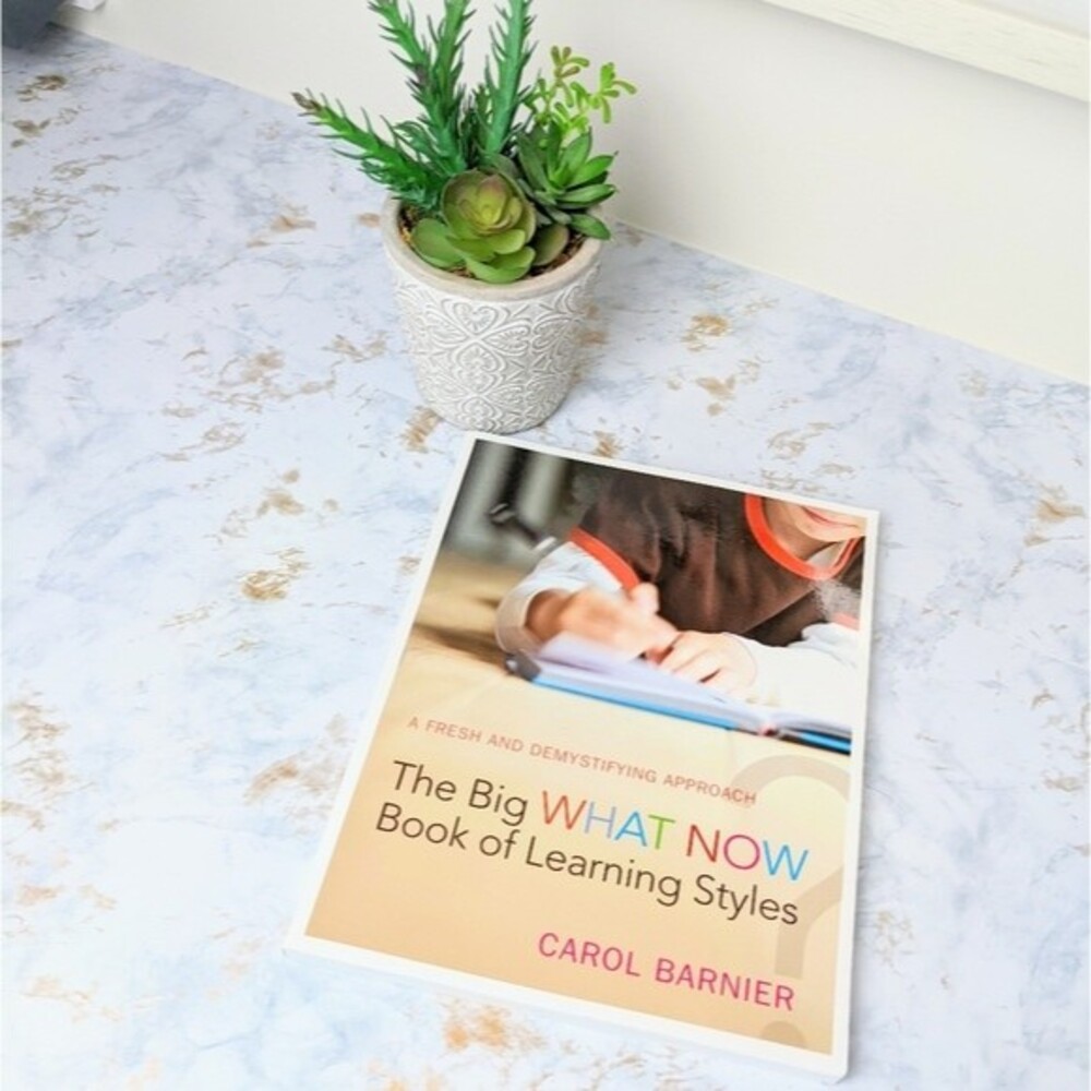 New The Big Book What Now Book of Learning Styles